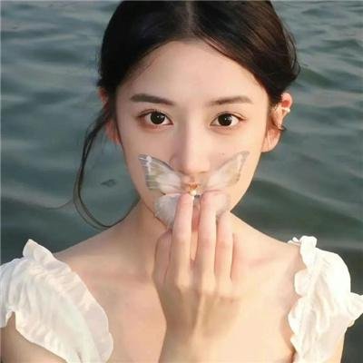 鲨海血危机